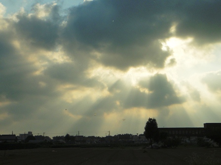 e0143298_1827398.jpg
