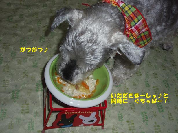 「犬文字ご飯」は　やっぱり　グチャパーに・・・_c0098501_20381822.jpg