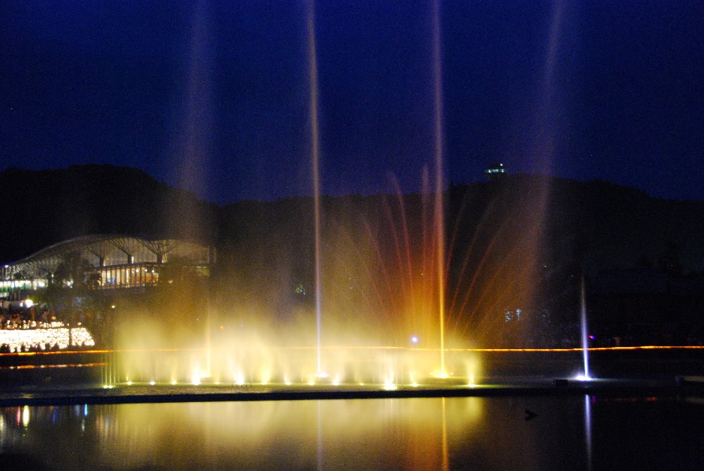 越後丘陵公園の夜景_e0087201_1324149.jpg