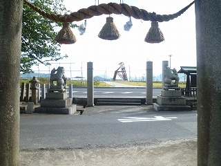 f0197504_8321042.jpg