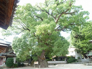 f0197504_8334150.jpg