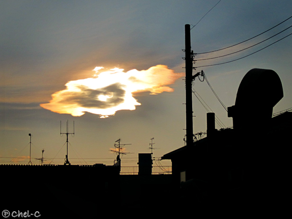 a0154706_955729.jpg