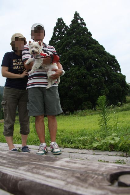 ２０１１年夏の旅行～東北旅行　青森へ行くぞー！～その４　2011．7．26（火）～山形編_f0039907_16235572.jpg