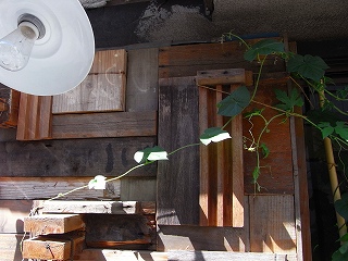 何処行くか_c0201910_12501450.jpg