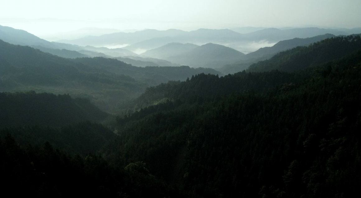 e0003910_9112276.jpg