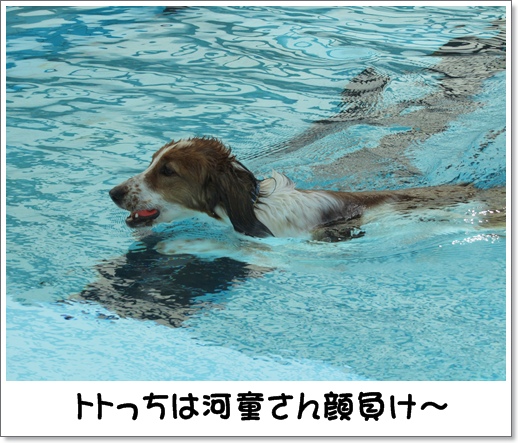 コイケル友とプール遊び_c0065512_1515621.jpg