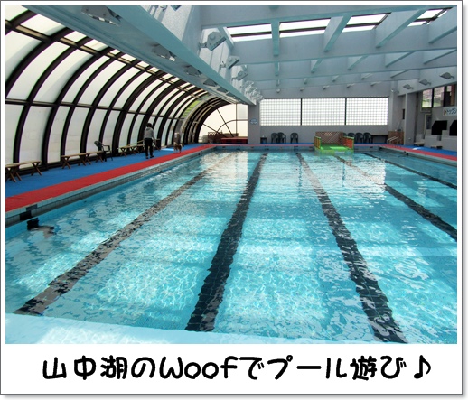 コイケル友とプール遊び_c0065512_152146.jpg