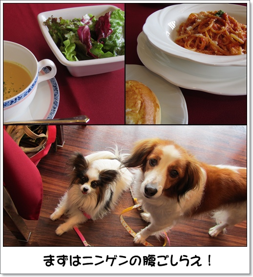 コイケル友とプール遊び_c0065512_1521550.jpg