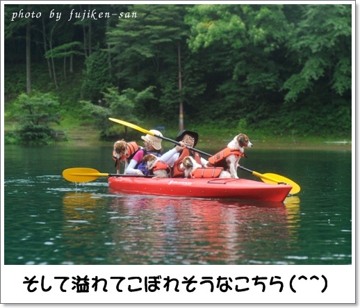 c0065512_1633734.jpg