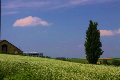 a0087818_21575547.jpg