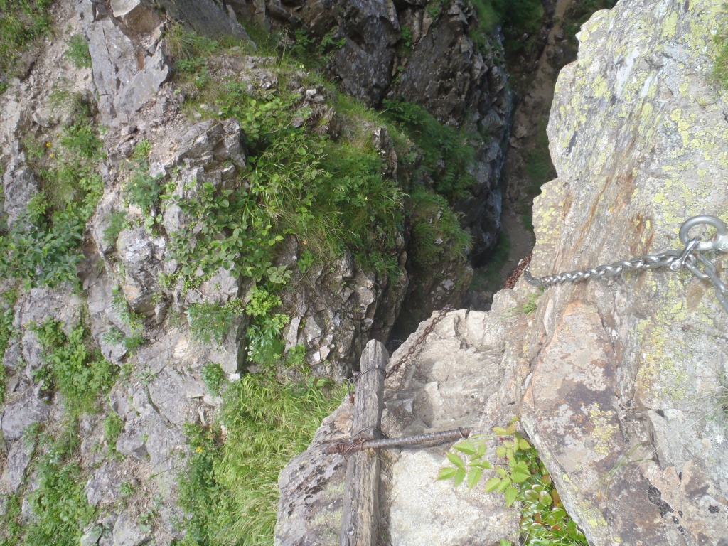 e0171018_1916428.jpg