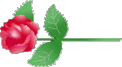 f0108622_0571568.gif