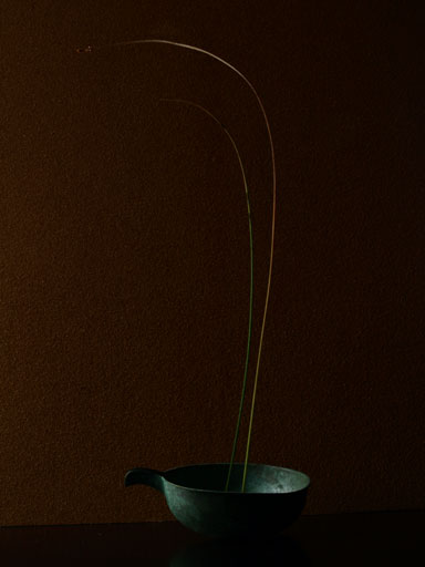 20110814.jpg