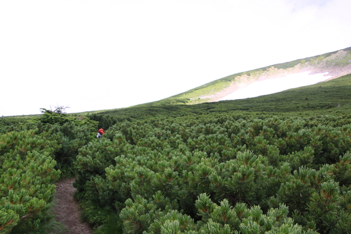 a0203733_0471115.jpg