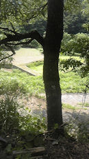 f0161535_1433051.jpg