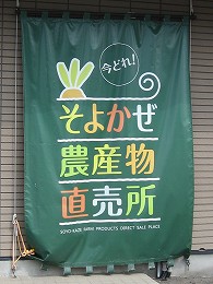 b0184436_17142699.jpg