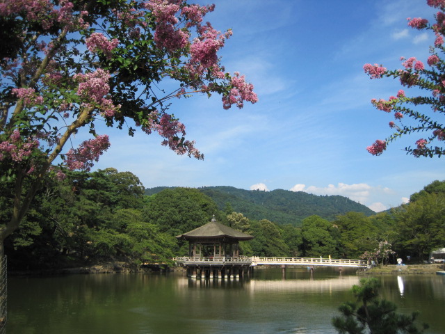 f0209438_23211766.jpg