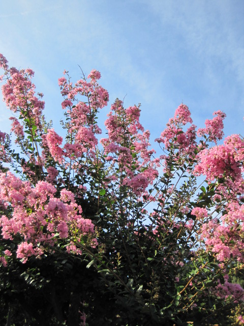 f0209438_23252125.jpg