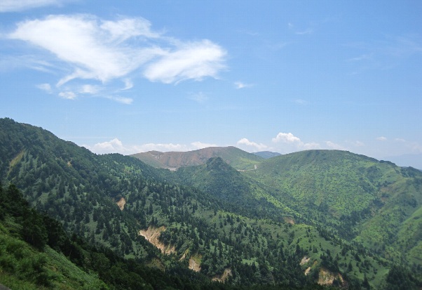 b0149340_21155755.jpg