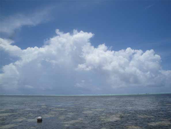 d0041240_22182622.jpg