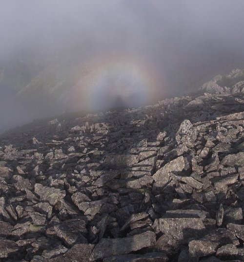 c0078441_11514.jpg
