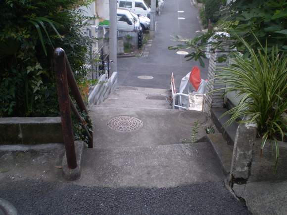 板橋区中板橋その②弥生町・大谷口・向原溜池跡（エンガ堀水源）_d0250051_1595833.jpg