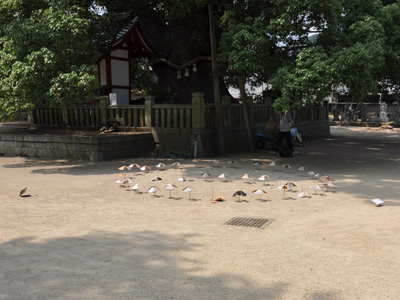 e0130953_17231350.jpg