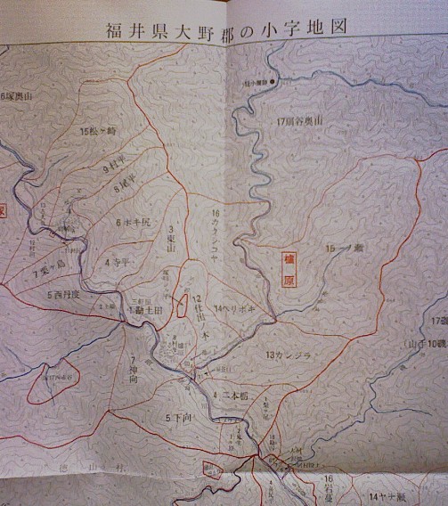 徳山村の小字名地図_f0197754_23102012.jpg