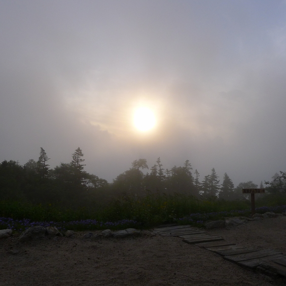 f0209354_17171776.jpg