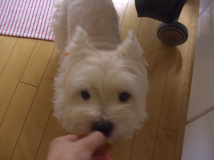 朝からパクッ。_b0107163_1523698.jpg