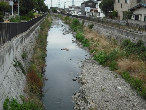 東上線の車窓から見た奇妙な川風景をたどる②_b0206463_18194285.jpg