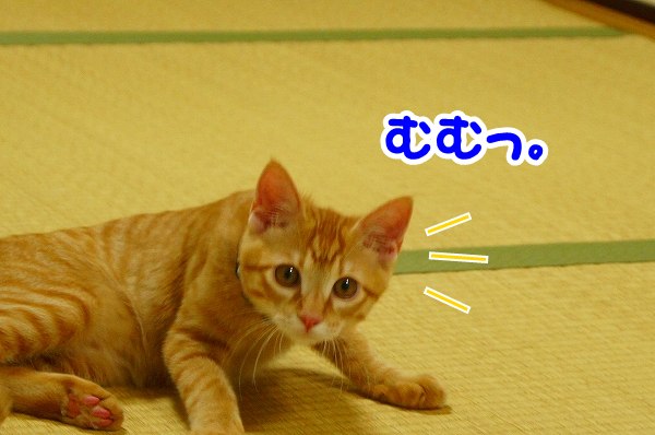 a0201967_23115576.jpg