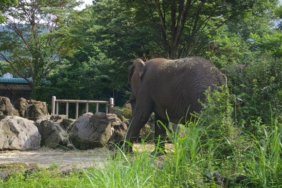 夏休みパート2/ Summer vacation #2_a0186568_9125426.jpg