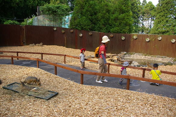 夏休みパート2/ Summer vacation #2_a0186568_9242573.jpg