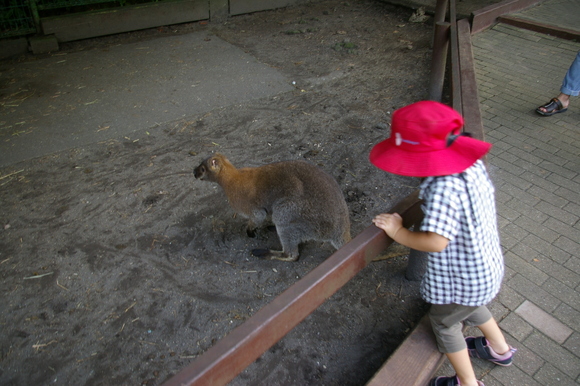 夏休みパート2/ Summer vacation #2_a0186568_9252328.jpg