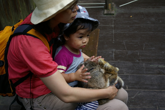 夏休みパート2/ Summer vacation #2_a0186568_932825.jpg