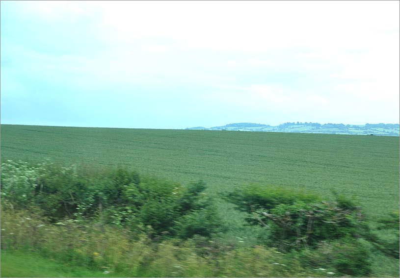 f0198771_0303496.jpg