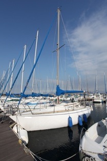 e0183673_512059.jpg