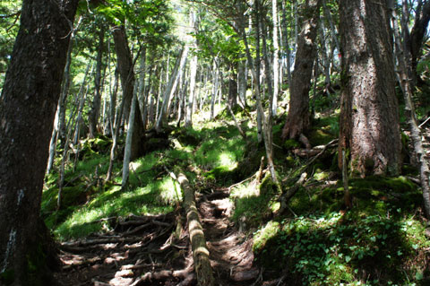 日本百名山「日光白根山」とその周辺の山々_a0115676_1455588.jpg