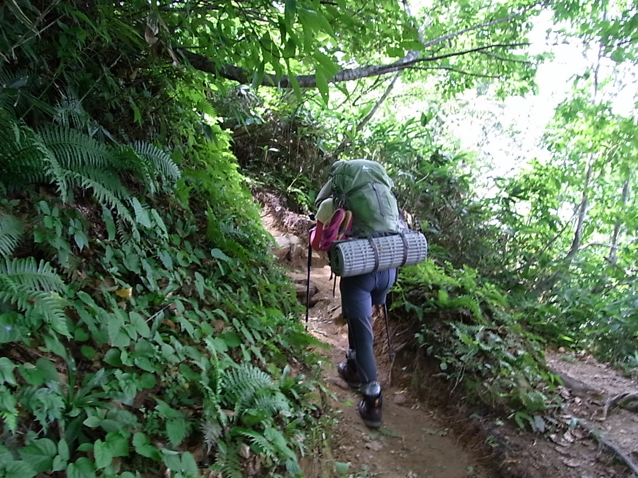 2011.8.12-15　雲ノ平へ　北アルプス3泊4日テント泊縦走　day1（折立-太郎平小屋-薬師峠キャンプ場）_b0219778_151795.jpg