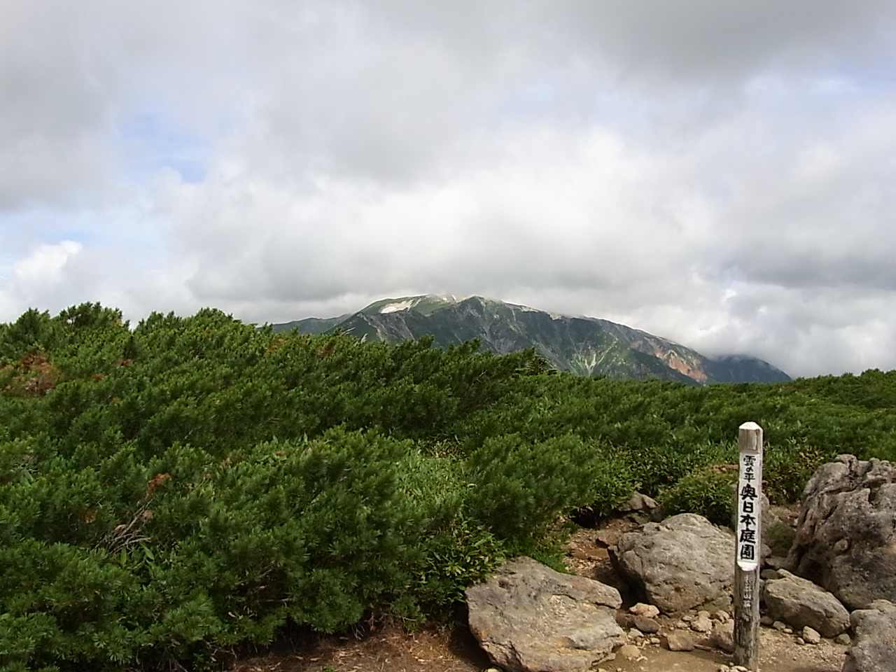 2011.8.12-15　雲ノ平へ　北アルプス3泊4日テント泊縦走　day2（薬師峠キャンプ場-雲ノ平テント場）_b0219778_2126529.jpg