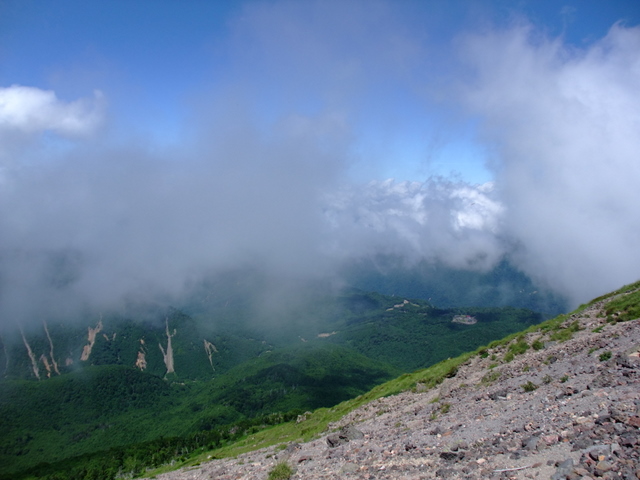 日光白根山　〜７月２３日（土）〜　その⑤_a0043982_2012171.jpg