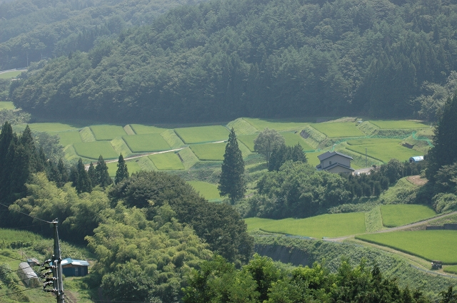 c0212083_0423998.jpg