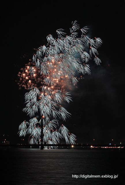 福山夏まつり２０１１　あしだ川花火大会_c0083985_10151199.jpg