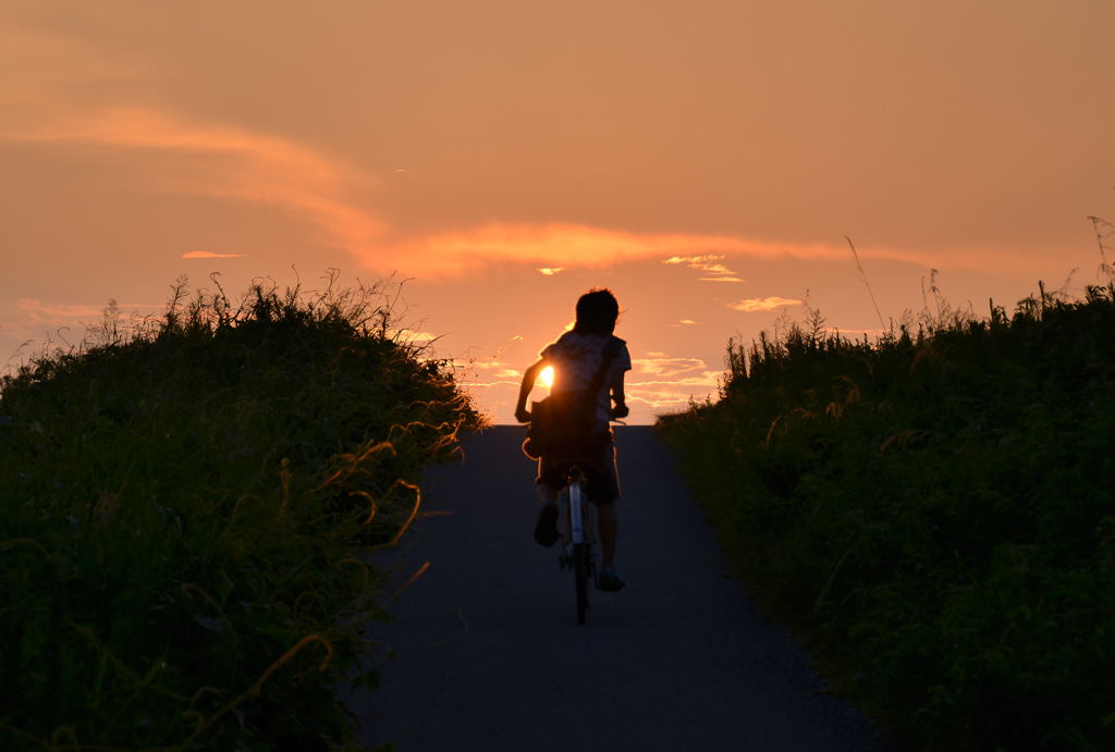 夕日に向かって 亀の遠写近写 夕日に向かって 亀の遠写近写