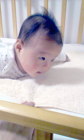 d0085887_0365313.jpg