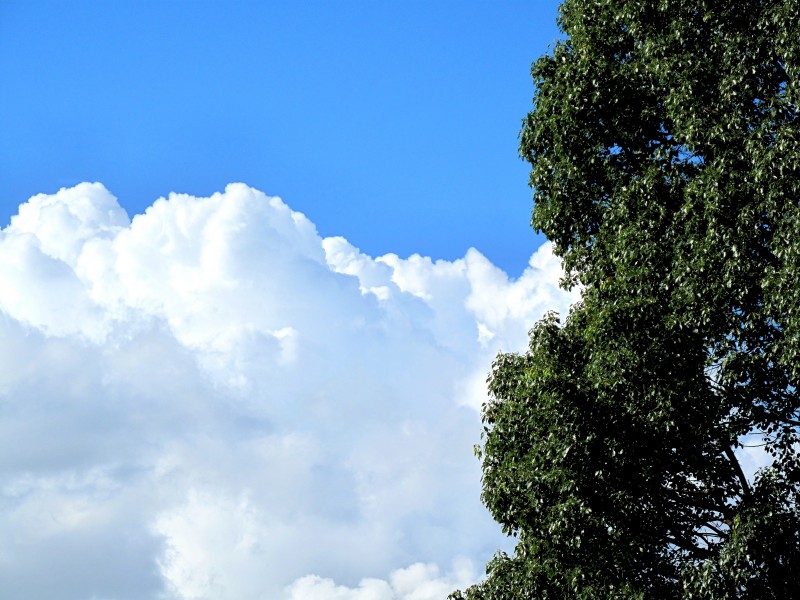 f0129994_13120.jpg