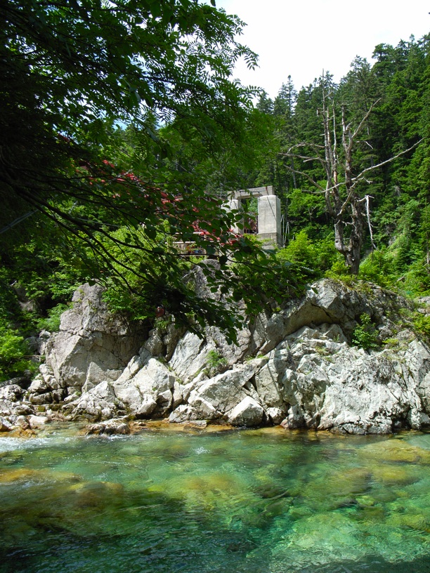 d0242696_113472.jpg