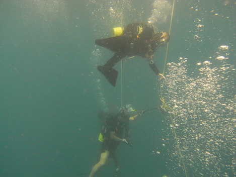 e0115199_9323884.jpg