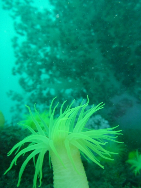 e0115199_9594317.jpg